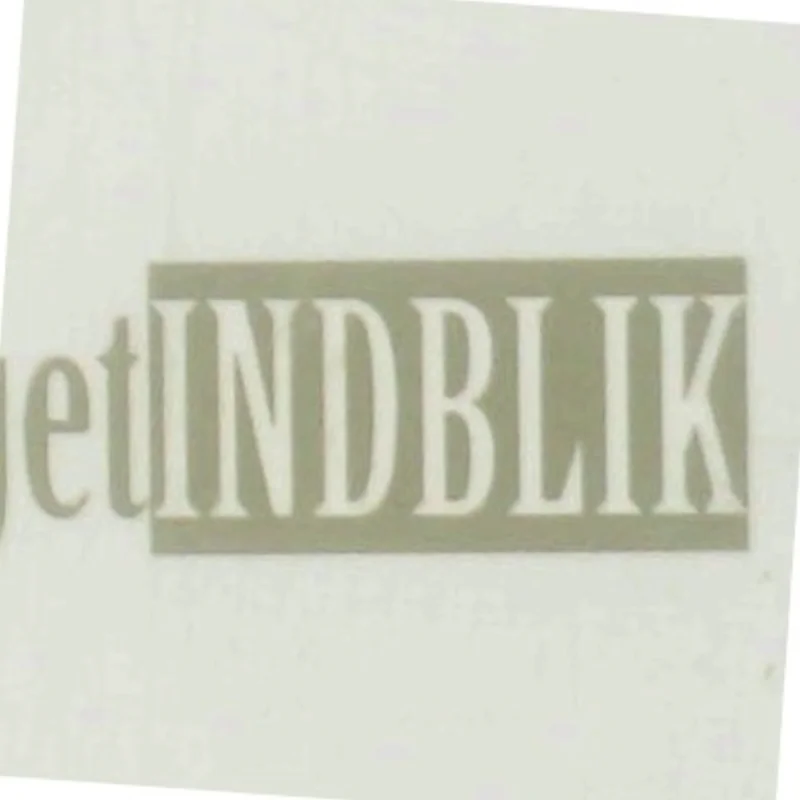 Ledergruppen : det dynamiske omdrejningspunkt af Susanne Teglkamp (Bog)