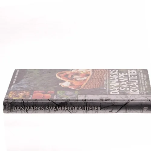 Politikens guide til Danmarks svampelokaliteter (Bog)