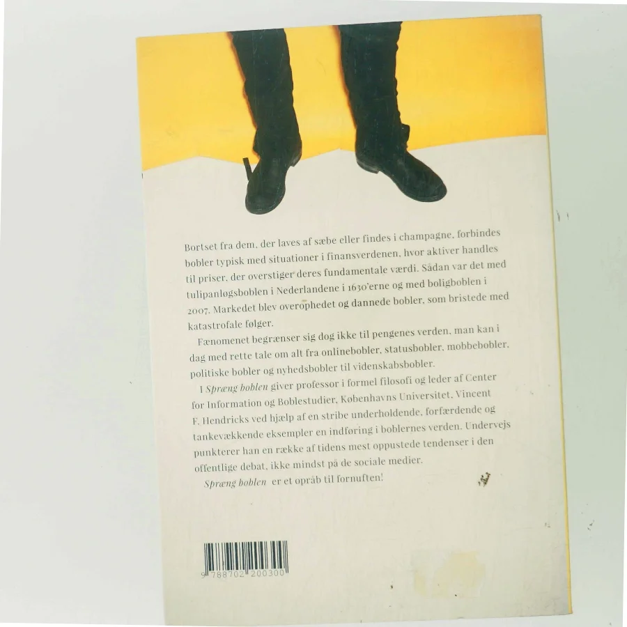 Spræng boblen - sådan bevarer du fornuften i en ufornuftig verden af Vincent F. Hendricks (Bog)