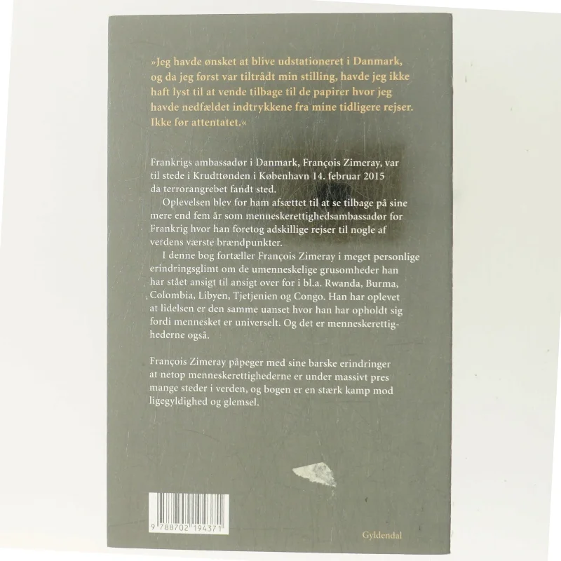 Jeg har set det samme ansigt overalt af François Zimeray (f. 1961) (Bog)