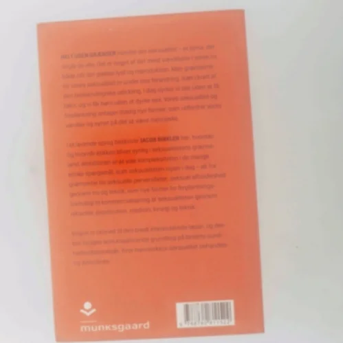 Helt uden grænser : etik og seksualitet af Jacob Birkler (Bog)