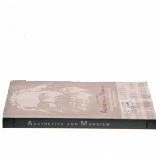 Aesthetics and Marxism : Chinese aesthetic Marxists and their Western contemporaries af Kang Liu (Bog)