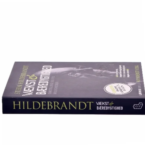 Vækst & bæredygtighed af Steen Hildebrandt (Bog)