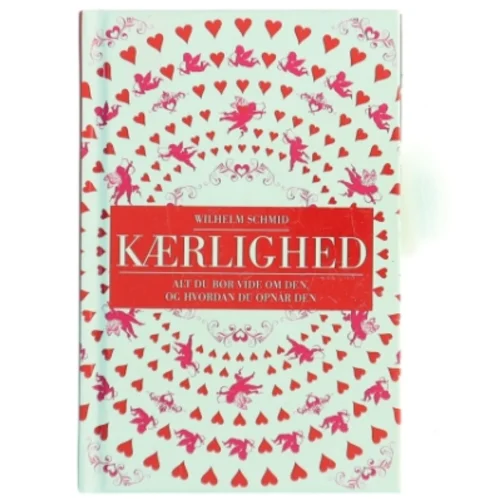 Kærlighed : alt hvad du bør vide om den, og hvordan du opnår den af Wilhelm Schmid (Bog)
