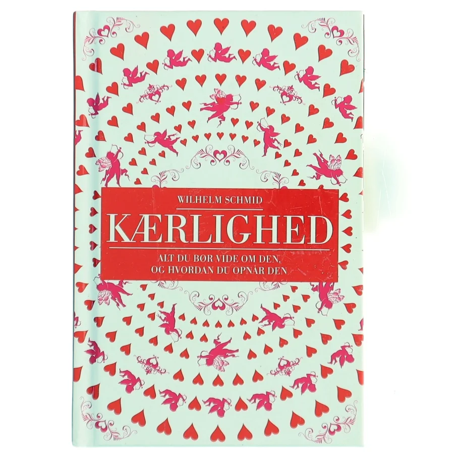 Kærlighed : alt hvad du bør vide om den, og hvordan du opnår den af Wilhelm Schmid (Bog)