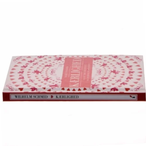 Kærlighed : alt hvad du bør vide om den, og hvordan du opnår den af Wilhelm Schmid (Bog)