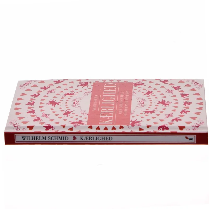 Kærlighed : alt hvad du bør vide om den, og hvordan du opnår den af Wilhelm Schmid (Bog)