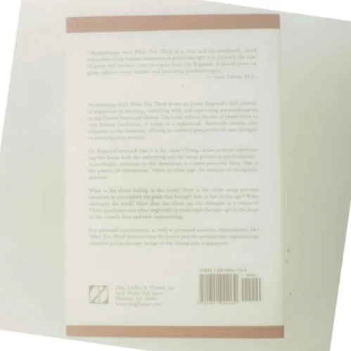 Psychotherapy Isn't What You Think af James F. T. Bugental (Bog)