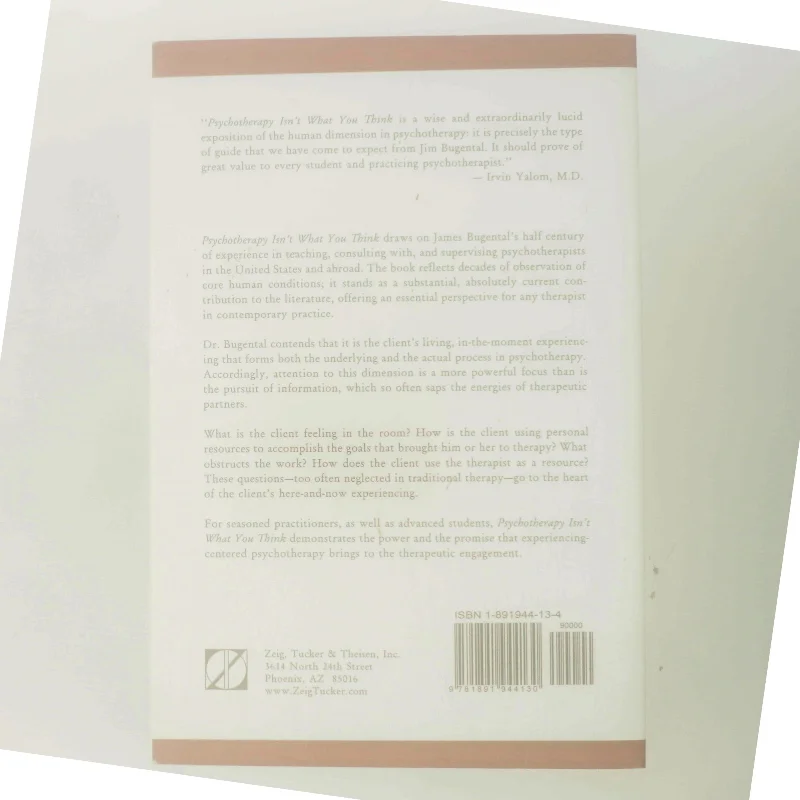 Psychotherapy Isn't What You Think af James F. T. Bugental (Bog)