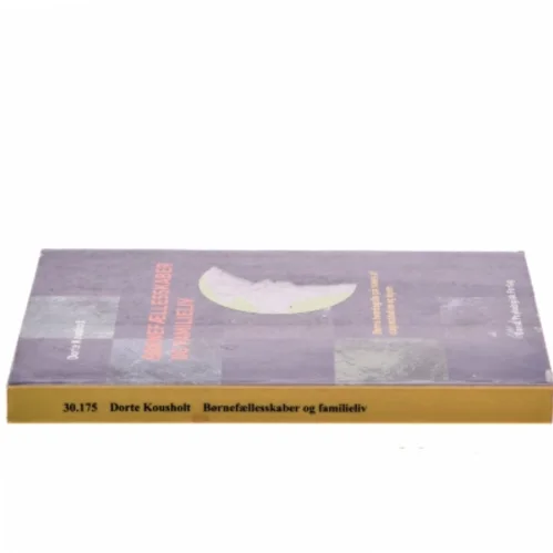 Børnefællesskaber og familieliv : børns hverdagsliv på tværs af daginstitution og hjem af Dorte Kousholt (Bog)