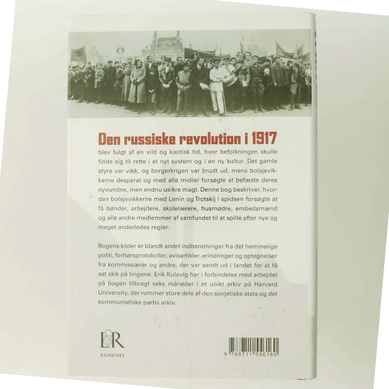 Vi river himlen ned på jorden : drøm og hverdag i revolutionens Rusland 1917-1922 af Erik Kulavig (Bog)