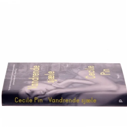 Vandrende sjæle : roman af Cecile Pin (Bog)