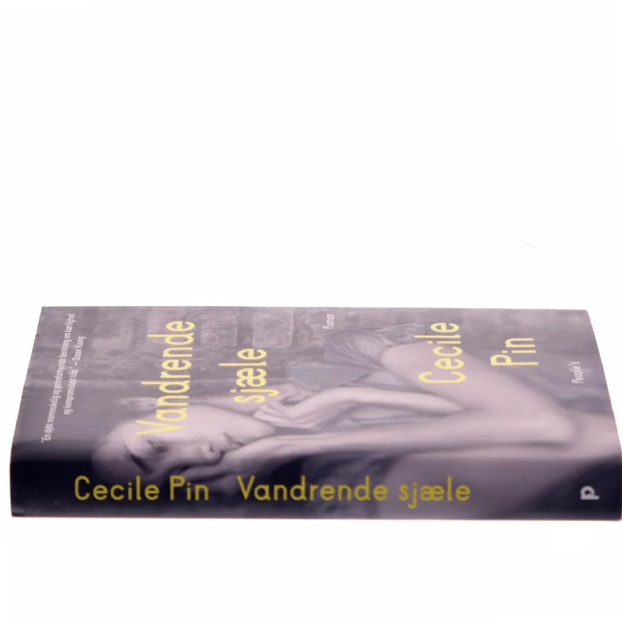 Vandrende sjæle : roman af Cecile Pin (Bog)