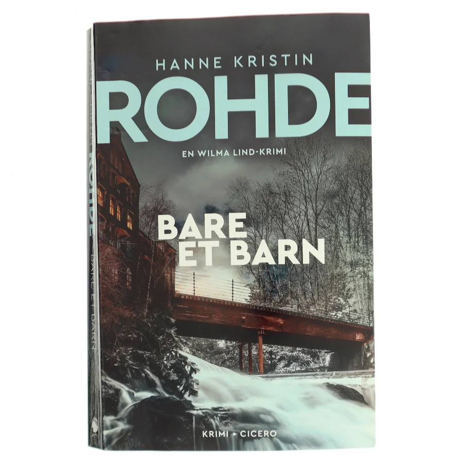 Bare et barn af Hanne Kristin Rohde (Bog)