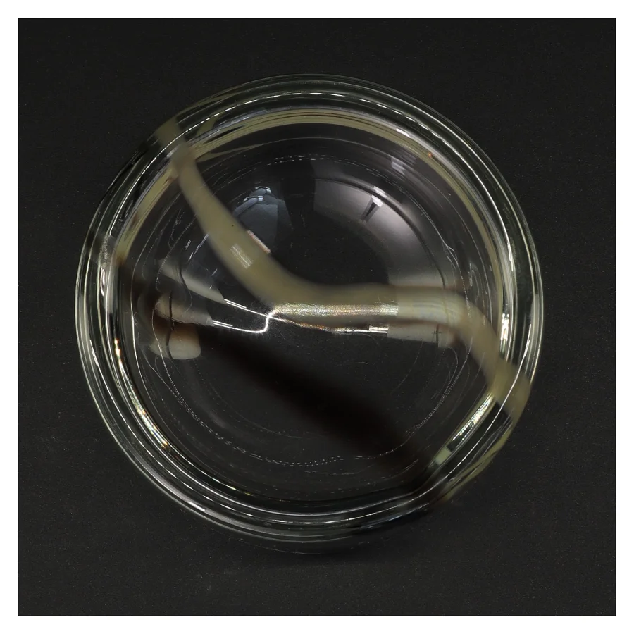 Glasskål med sort og hvid stribe (str. 15 x 6 komma 5 cm)