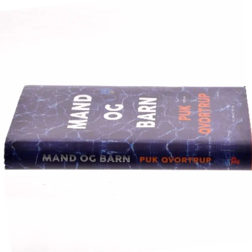 Mand og barn : roman af Puk Qvortrup (Bog)