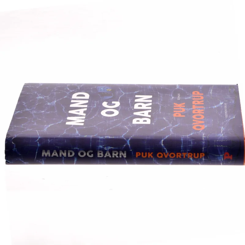 Mand og barn : roman af Puk Qvortrup (Bog)