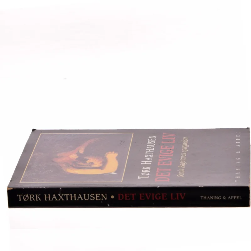 Det evige liv : Sonia Bagatovas optegnelser af Tørk Haxthausen (Bog)
