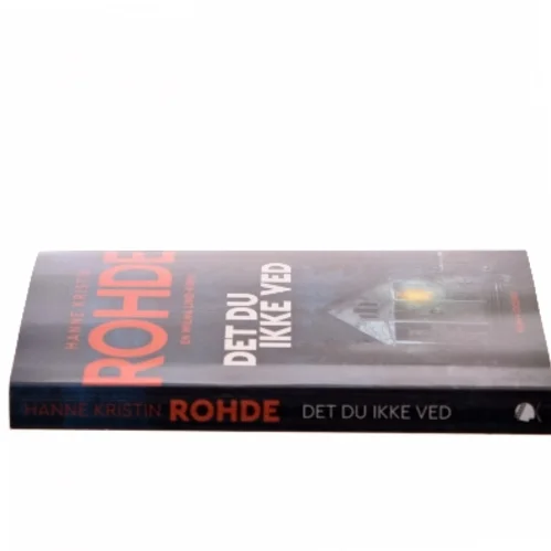 Det du ikke ved af Hanne Kristin Rohde (Bog)