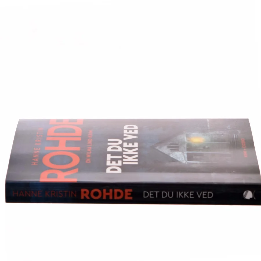 Det du ikke ved af Hanne Kristin Rohde (Bog)