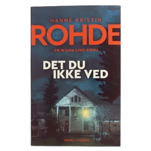 Det du ikke ved af Hanne Kristin Rohde (Bog)