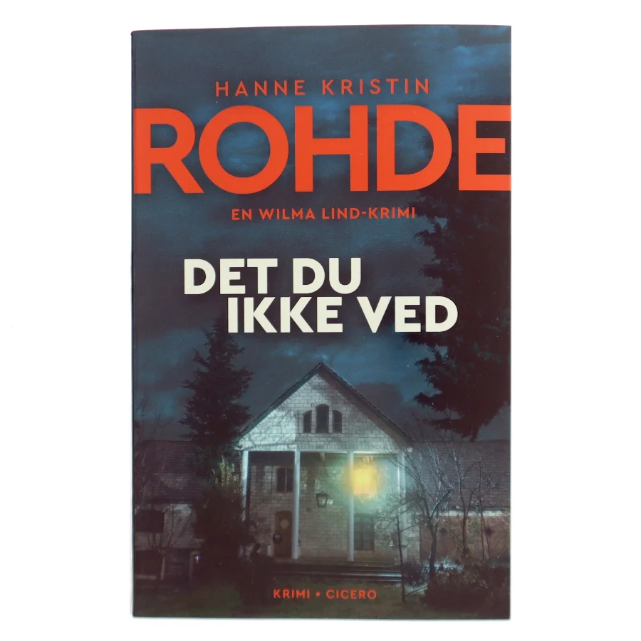 Det du ikke ved af Hanne Kristin Rohde (Bog)
