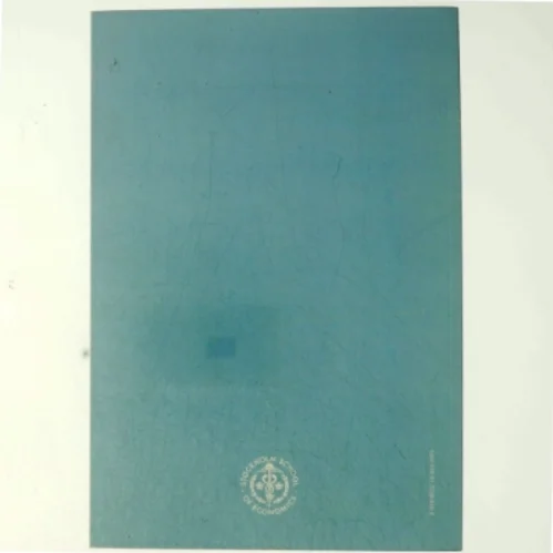 Beers & Bonds: Essays in Structural Empirical Economics af André Romahn (bog)