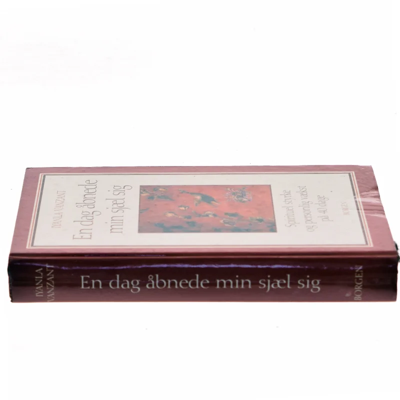 En dag åbnede min sjæl sig : åndelig styrke og personlig vækst på 40 dage af Iyanla Vanzant (Bog)