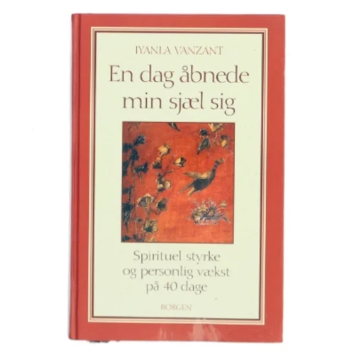 En dag åbnede min sjæl sig : åndelig styrke og personlig vækst på 40 dage af Iyanla Vanzant (Bog)
