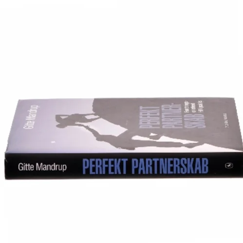 Perfekt partnerskab : forretningsorienteret HR i praksis af Gitte Mandrup (Bog)