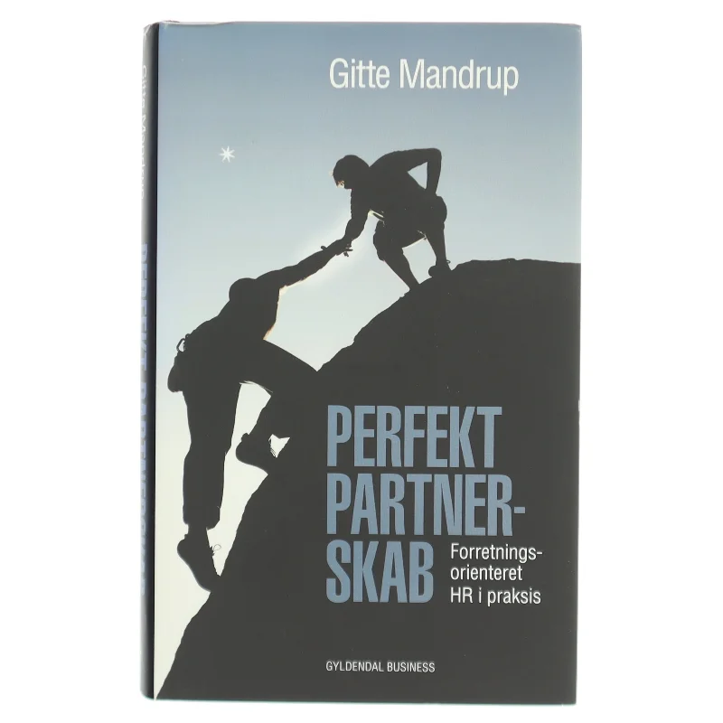 Perfekt partnerskab : forretningsorienteret HR i praksis af Gitte Mandrup (Bog)