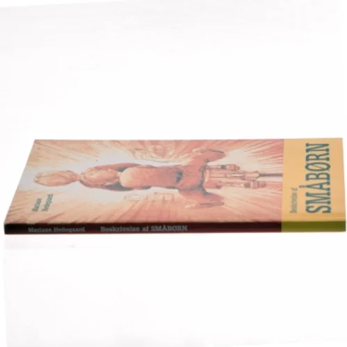 Beskrivelse af småbørn af Mariane Hedegaard (Bog)