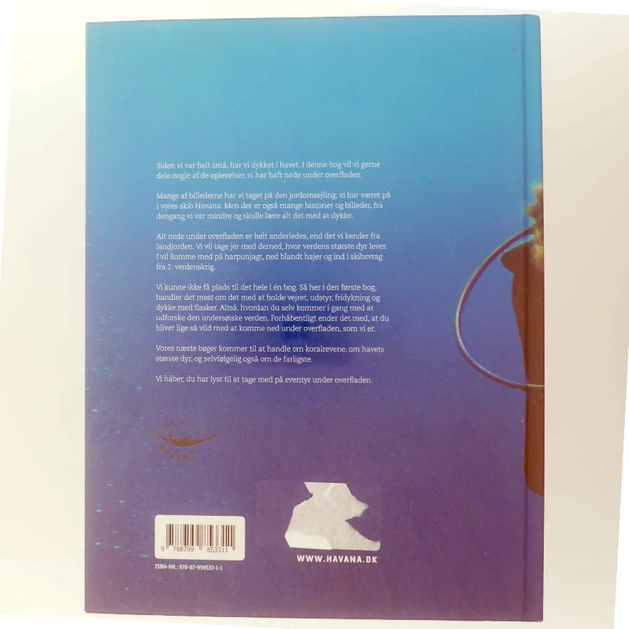 Under overfladen af Alfred Midé Erichsen (Bog)