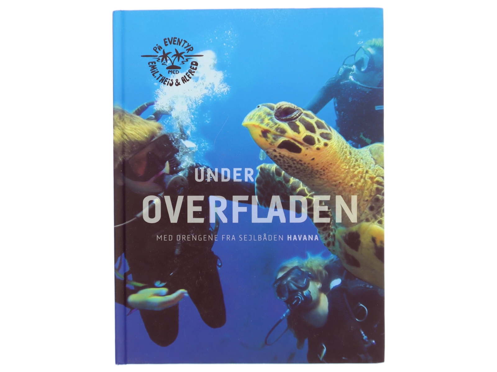 Under overfladen af Alfred Midé Erichsen (Bog)