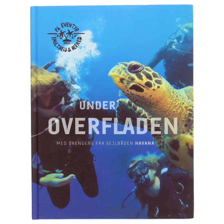 Under overfladen af Alfred Midé Erichsen (Bog)