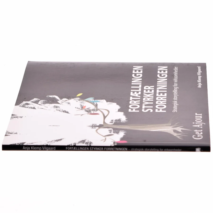 Fortællingen styrker forretningen af Anja Klemp Vilgaard (Bog)