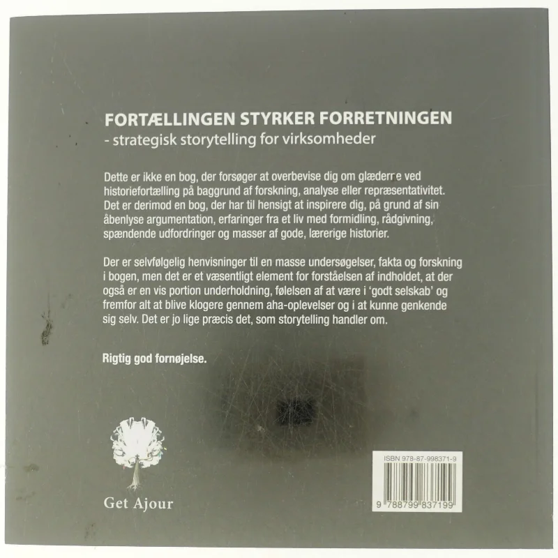 Fortællingen styrker forretningen af Anja Klemp Vilgaard (Bog)