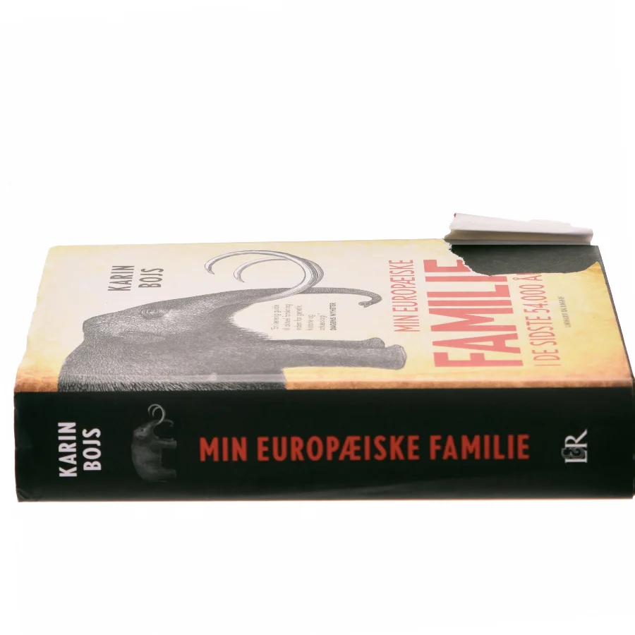 Min Europæiske Familie af Karin Bojs (Bog)