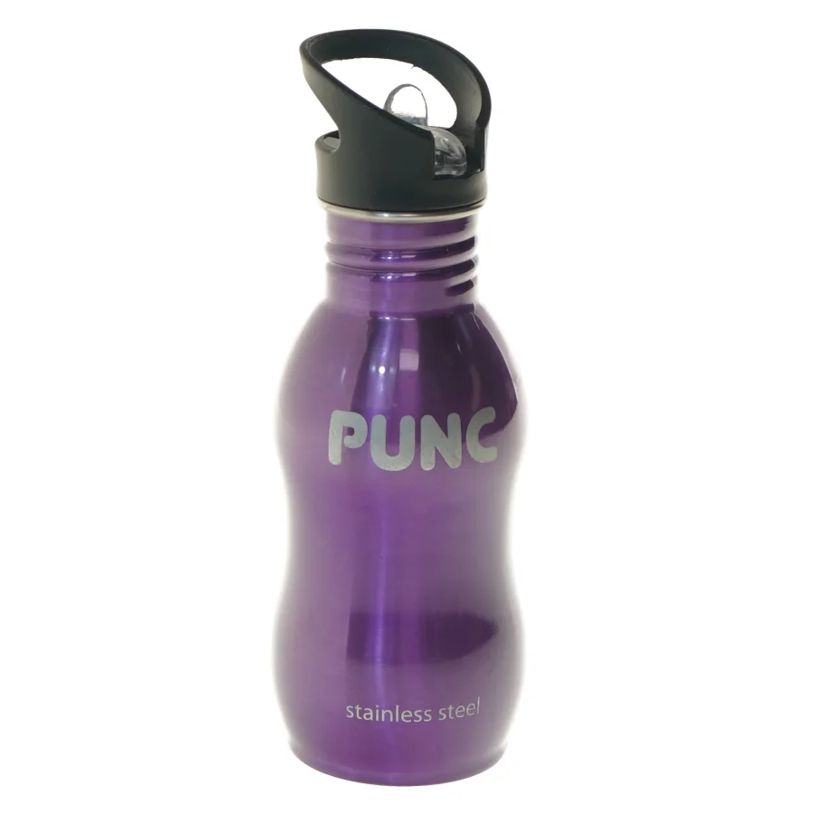 Stål drikkeflaske med sugerør fra PUNC (str. 21 cm)