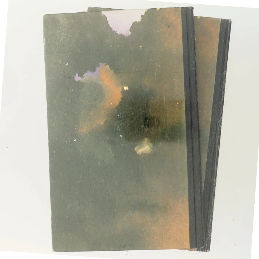 Rødder af Alex Haley (Bog)