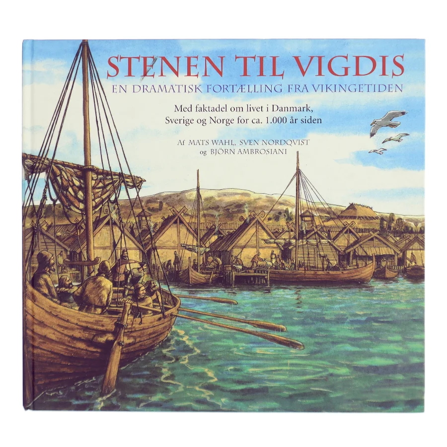 Stenen til Vigdis (Bog)