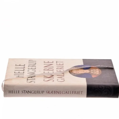 Skæbnegalleriet af Helle Stangerup (Bog)