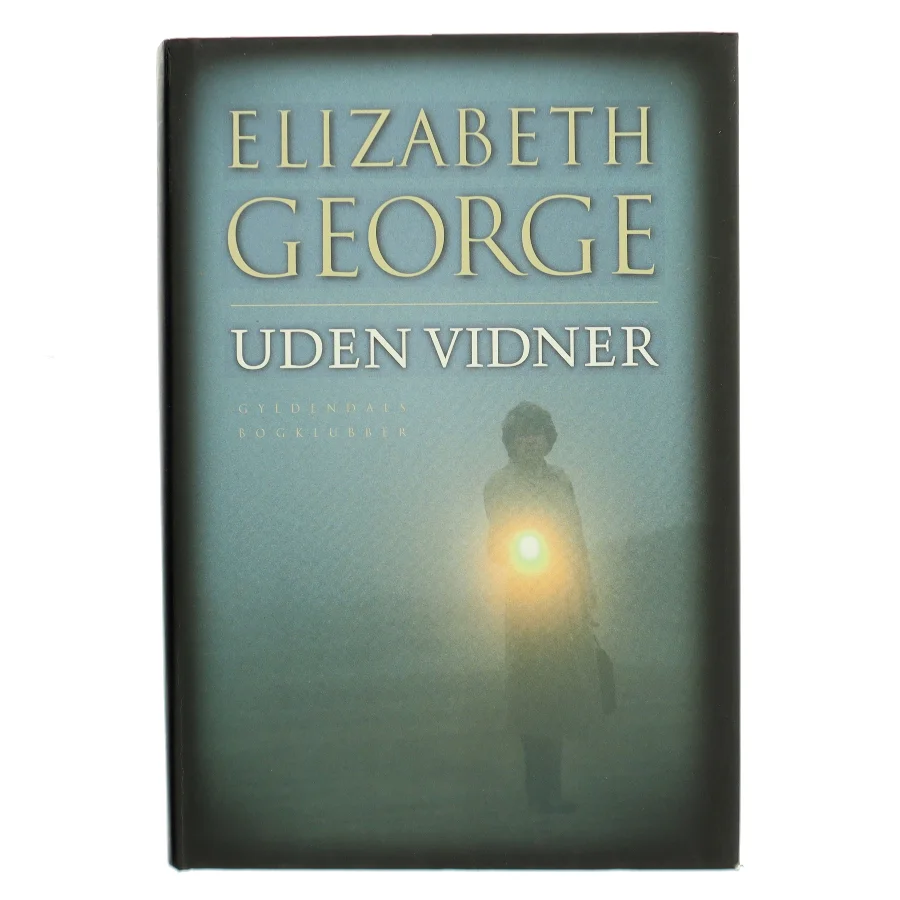 Uden vidner (With No One as Witness)