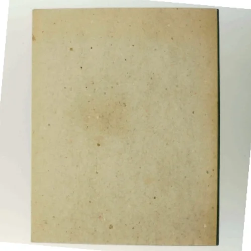 Lyngby Kirkes Kalkmalerier af Axel Bolvig (Bog)