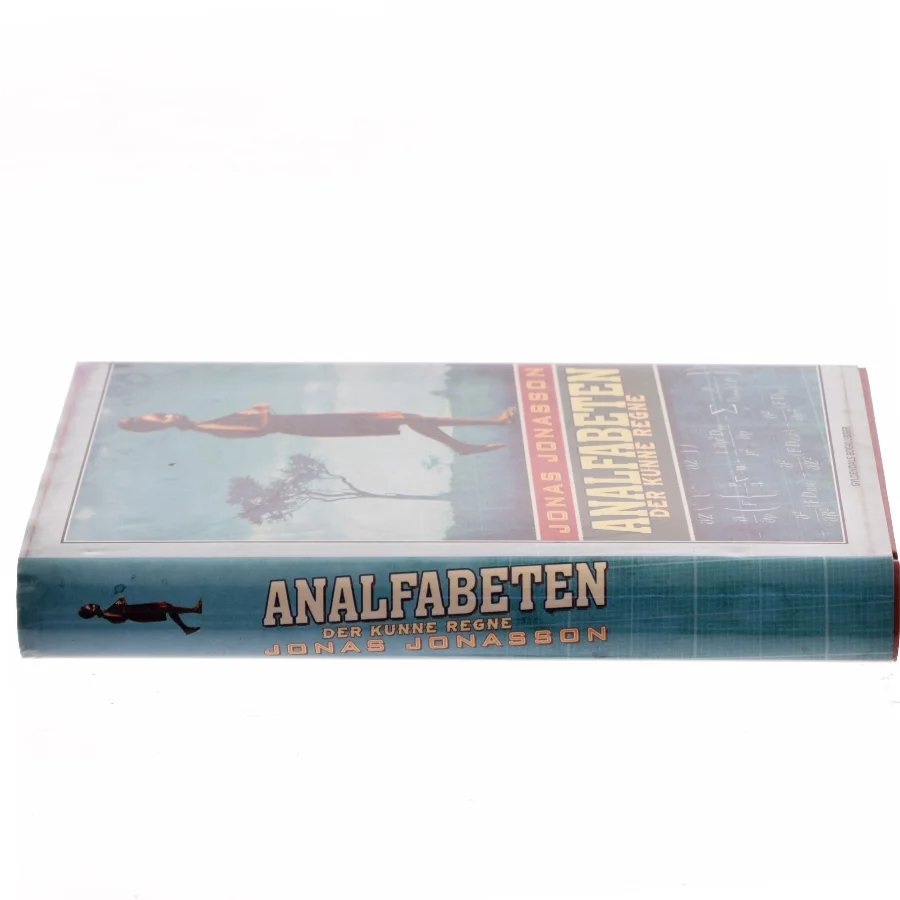 Analfabeten der kunne regne af Jonas Jonasson (Bog)