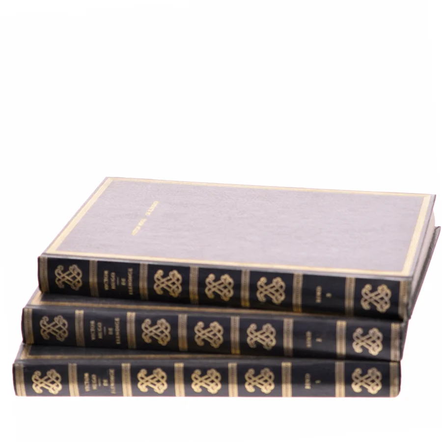 De Elendige af Victor Hugo (Bog)