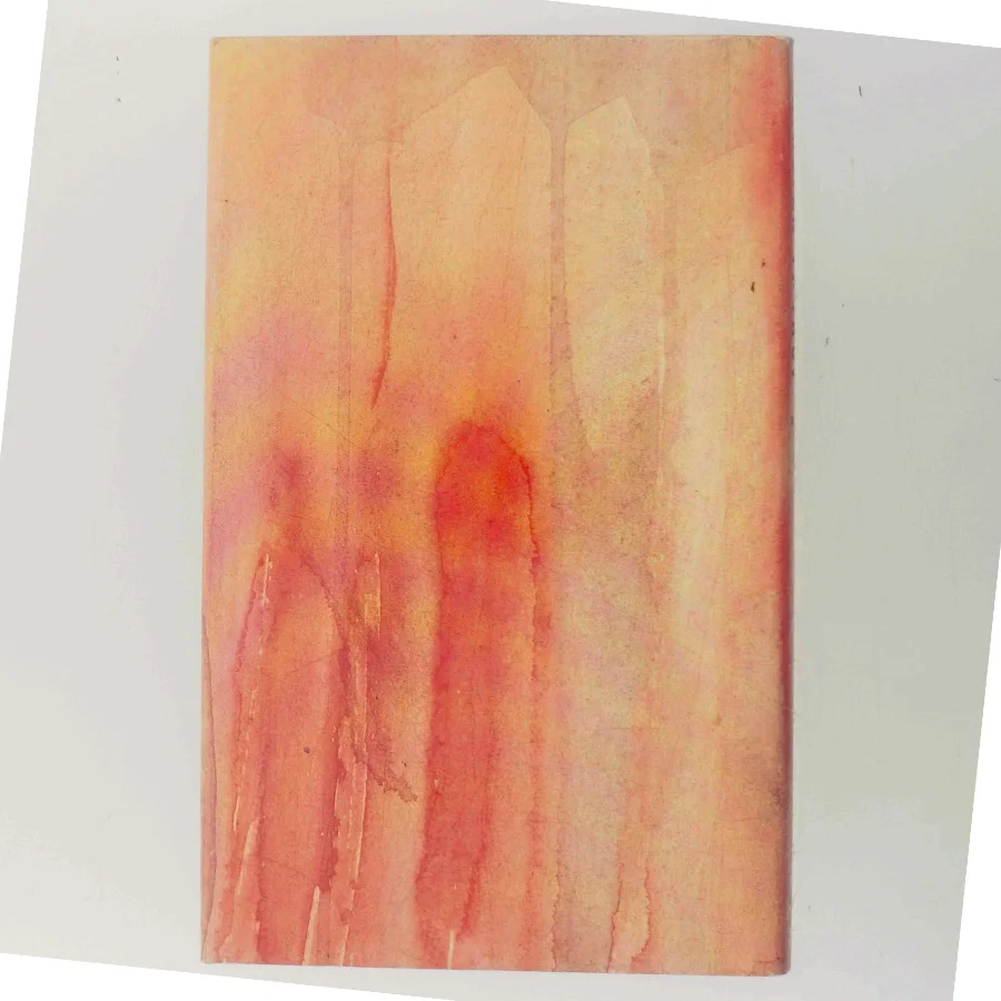 Den yderste grænse af Kirsten Thorup fra Gyldendals Bogklub af Kirsten Thorup (Bog)