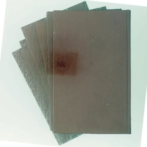 Adam Homo af Fr. Paludan-Müller (Bog)