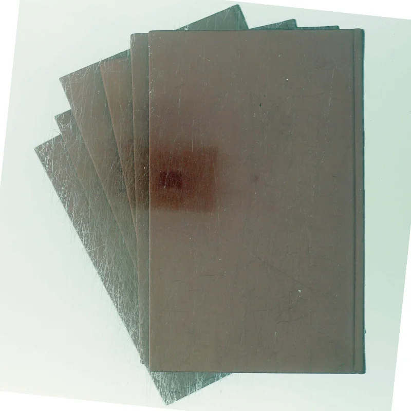 Adam Homo af Fr. Paludan-Müller (Bog)