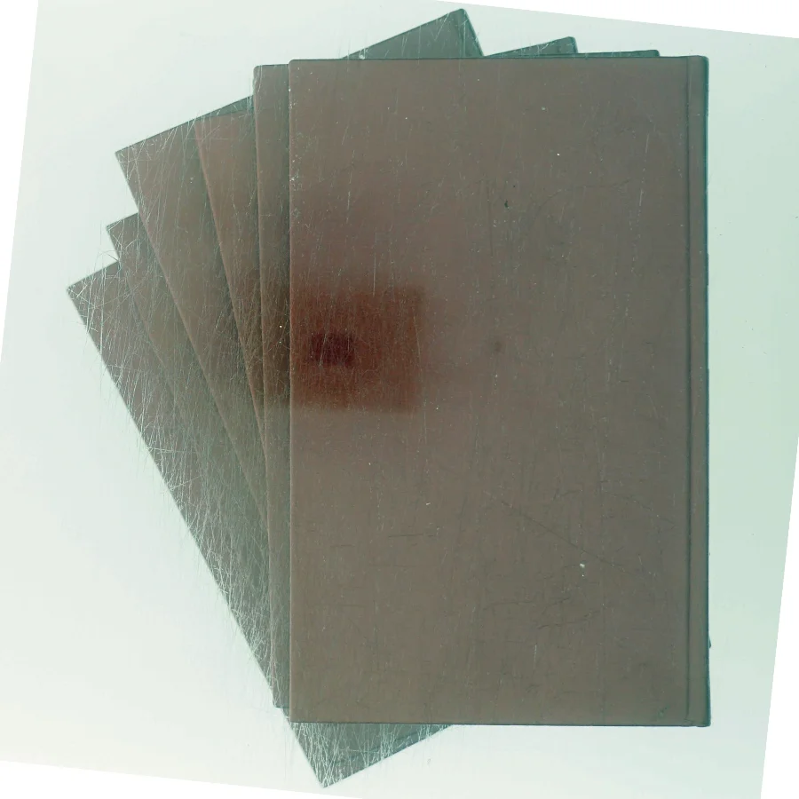 Adam Homo af Fr. Paludan-Müller (Bog)